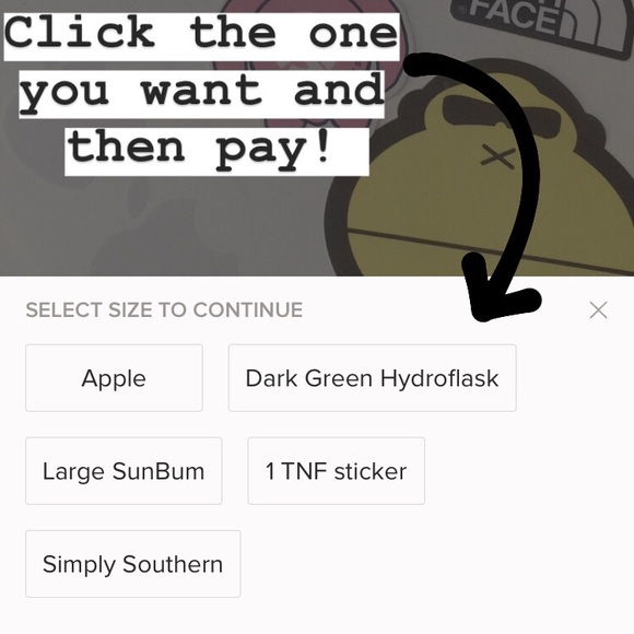 Preppy Stickers(SunBum, Apple, North Face, Hydro) - Picture 5 of 6